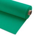 Single Jersey Viscose 200g - Green 468 - 1m #1
