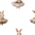 Druk Balerina.png